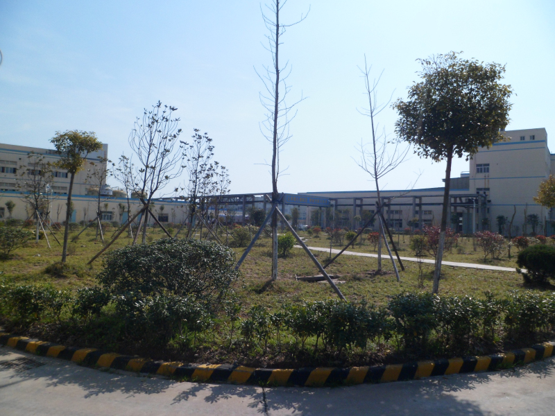 Base plant area